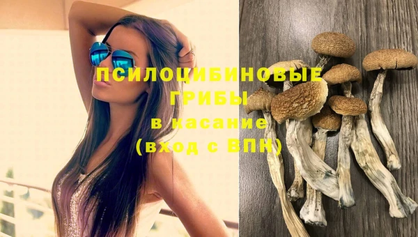 герыч Верхний Тагил