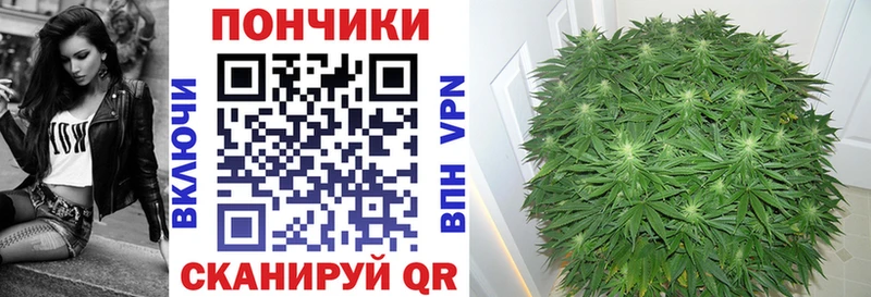 Купить закладки  Динская  Канабис VHQ 